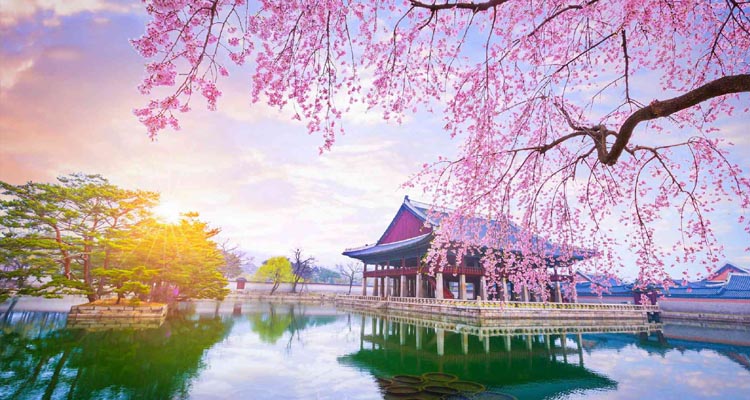 South Korea: A Blend of Tradition, Modernity, and Natural Splendor